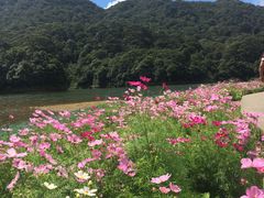 -广州市石门国家森林公园