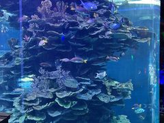 -泉城欧乐堡海洋极地世界