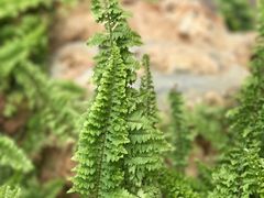 -南通洲际绿博园