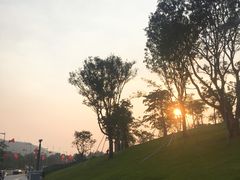 -白石龙音乐公园