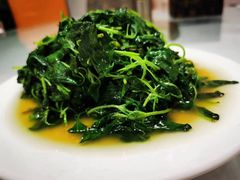 清炒山野菜-胡老三家土菜馆·老店地方特色菜·招牌茅山地锅老鹅