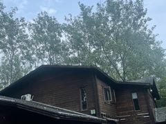 -合肥滨湖国家森林公园