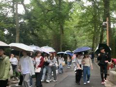 -西湖风景区十里琅珰-五云山