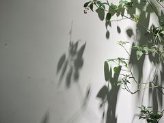 -the fall kaffe乐否咖啡