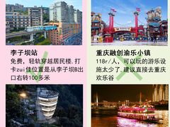 -李子坝梁山鸡(李子坝大鸡哥店)