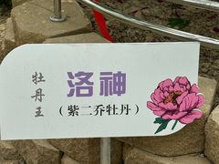 -太阳宫公园