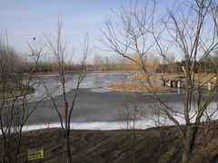 -东郊湿地公园
