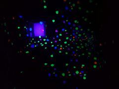 -上海世茂广场(南京东路店)