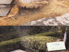 -汤泊温泉度假村