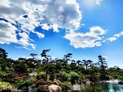 -罗红摄影艺术馆