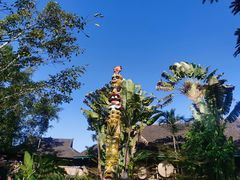 -西双版纳基诺山寨