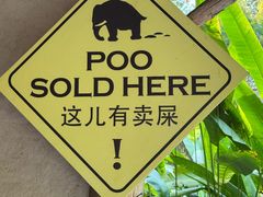 -大象粑粑造纸公园