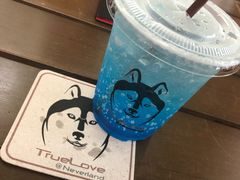 -TrueLove @ Neverland (Husky Cafe)