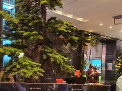 -百姓渔村(南中环店)