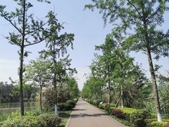 -白鹭湾湿地公园