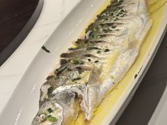 抱腌大白条-至尊鲨鱼·原烹海鲜·新浙菜(拱宸桥店)