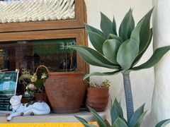 -Sirena海妖日咖夜酒