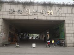 -陕西自然博物馆