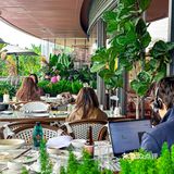 被二沙岛这家法式漂亮饭拿捏住了‼️