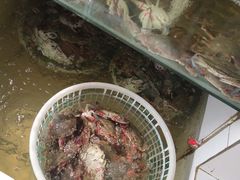 -四海蒸鲜蒸汽海鲜自助(北戴河店)