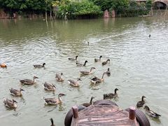 -长鹿旅游休博园