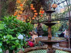 -The Grounds of Alexandria