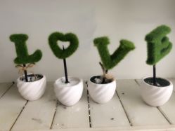 -完美新娘婚纱摄影