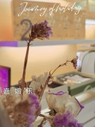 -CAMENAE嘉媚乐