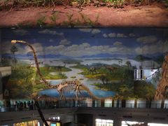 -自贡恐龙博物馆