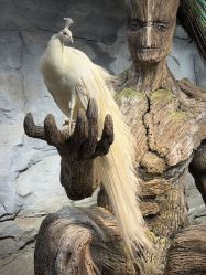 -Zoolung Zoolung动物主题公园(海信广场店)