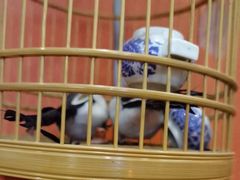 -了凡国风主题茶馆·咖啡(武侯祠锦里店)