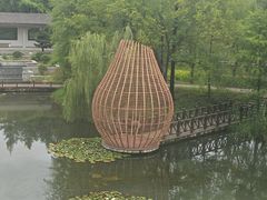 -洋湖国家湿地公园