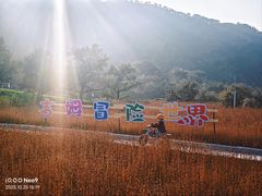 -吉姆冒险世界(蓟州店)