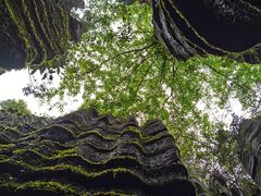 -梭布垭石林景区