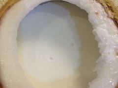 -食盈碗仔翅(星玺广场店)