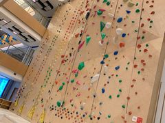 -ROCKPLUS攀岩馆(环宇城店)
