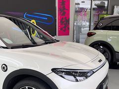 -上海浦东smart汽车全功能店(金桥店)