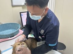 -纳吉亚猫专科动物医院博雅分院