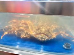 -盒马鲜生(莱蒙都会店)