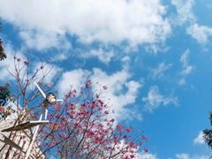 -海南热带海洋学院(三亚校区)