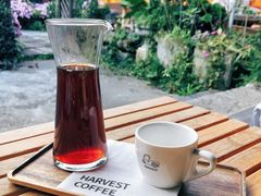 -收获咖啡HARVEST RESERVE(苍山店)