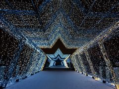 -长春世界雕塑园冰雪艺术天地