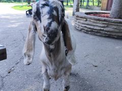 -长白岛森林公园