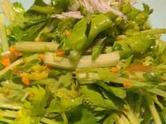 -止观小馆·辽河口渔家菜(王府井店)