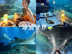 -涛·海底餐厅·美人鱼·自助餐·海底隧道(三亚海棠湾洲际度假酒店)