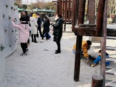 -成飞公园