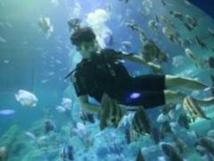 -西安华夏文旅水世界