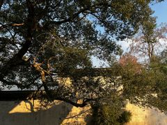 -采石矶景区