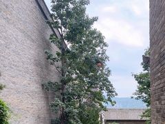 -山西王家大院