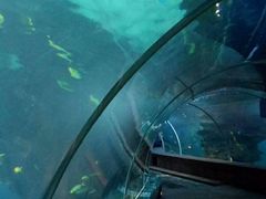 -石家庄海洋公园